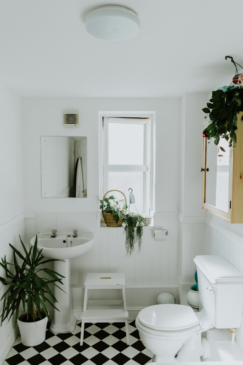 Bathroom cleaning